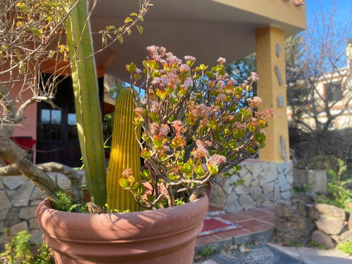 Lovely Home 5 Min Walk To The Beach, 3 Bedrooms Ample Outdoor Relax And Wifi Capitana Esterno foto