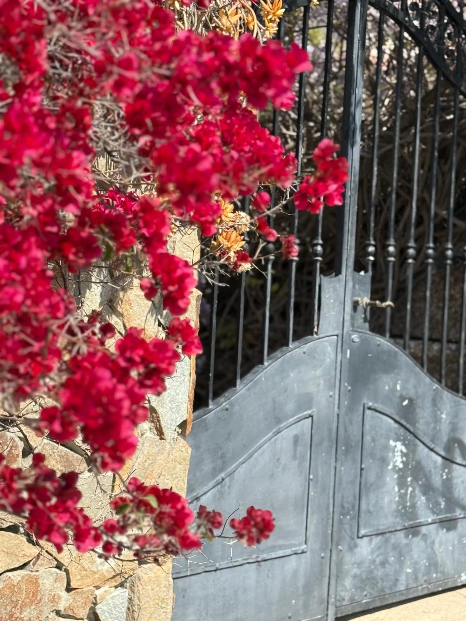 Lovely Home 5 Min Walk To The Beach, 3 Bedrooms Ample Outdoor Relax And Wifi Capitana Esterno foto